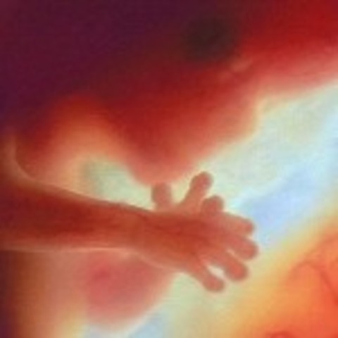 3er mes( Inicia la etapa fetal en la primera de semana del mes)