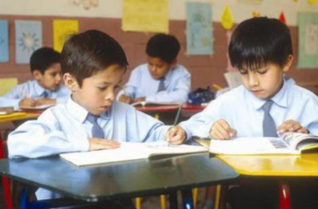 Escolar (6 años-10 años)