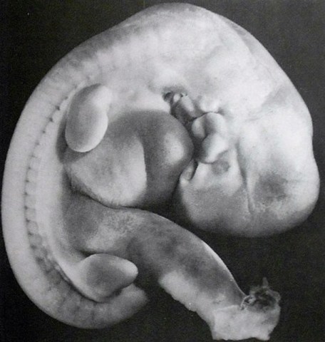 5a SEMANA-PRIMER MES