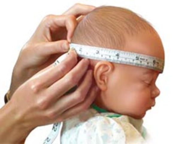 Proporciones Corporales