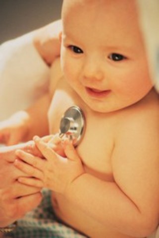 Sistema respiratorio.