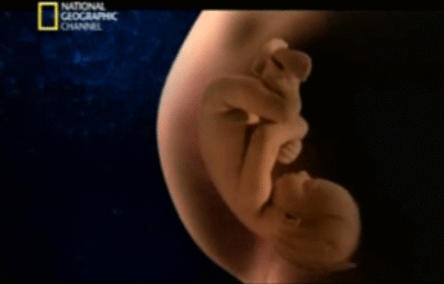 Trigésimosexta semana (final del ocatvo mes)