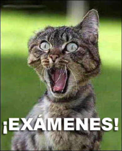 Examenes Segundo Parcial