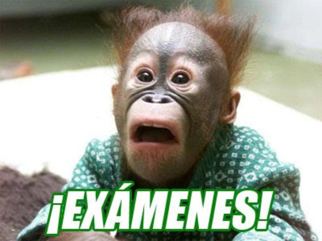 Examenes Primer Parcial