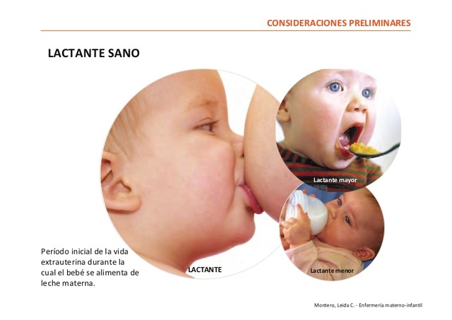 ETAPA DE LACTANCIA