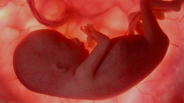 28° semana (7mo. mes)