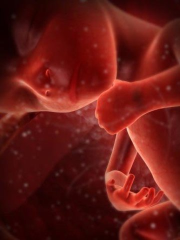 20a SEMANA-QUINTO MES