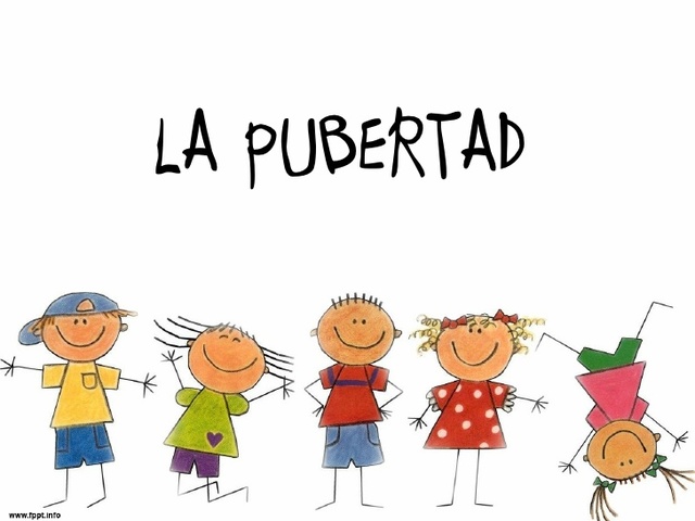 Pubertad (de 8 - 14 años)