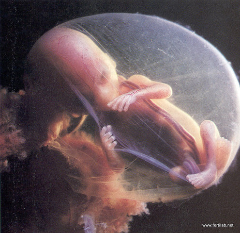 24a SEMANA-SEXTO MES