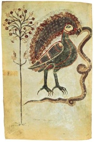 Battle of the Bird and the Serpent