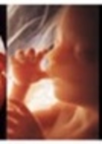 Semana veinticuatro (6° mes)