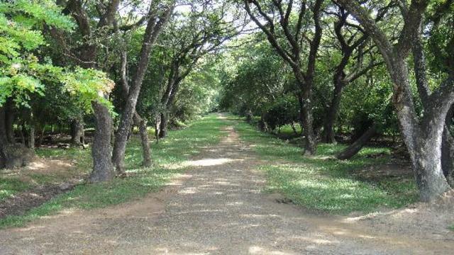 Abandonment of the Angkor Wat