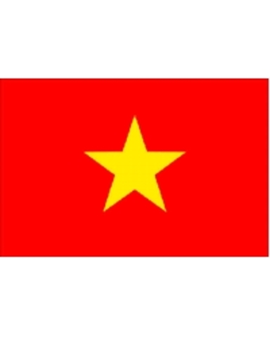 Vietnamese Army deals the final blow