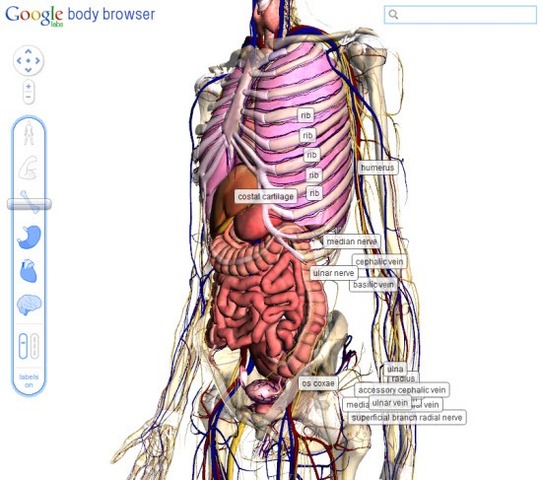 Δημιουργία ομαδικών ημερολογίων