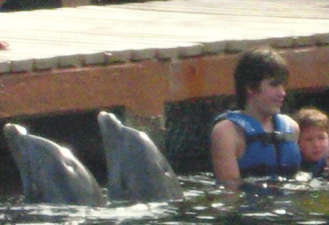 I went to Mexico and I swim with dolffins