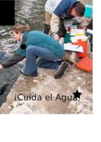 DETENGAMOS LA CONTAMINACIÓN