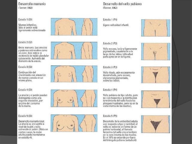 Cambios físicos y sexuales.