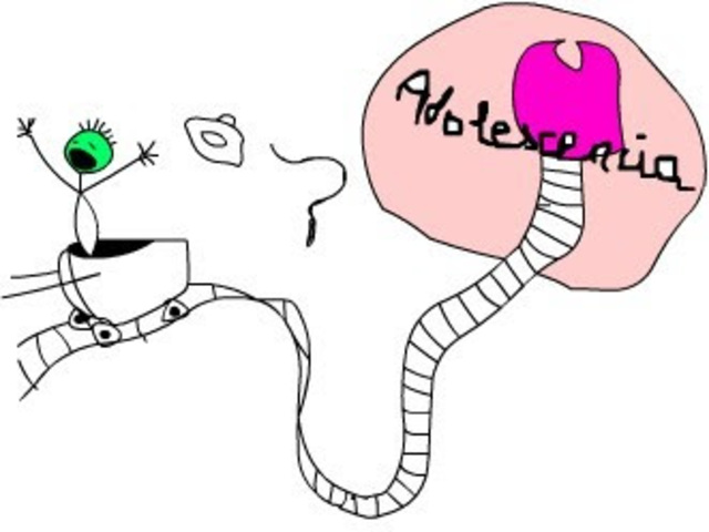 ADOLESCENTE COGNITIVO