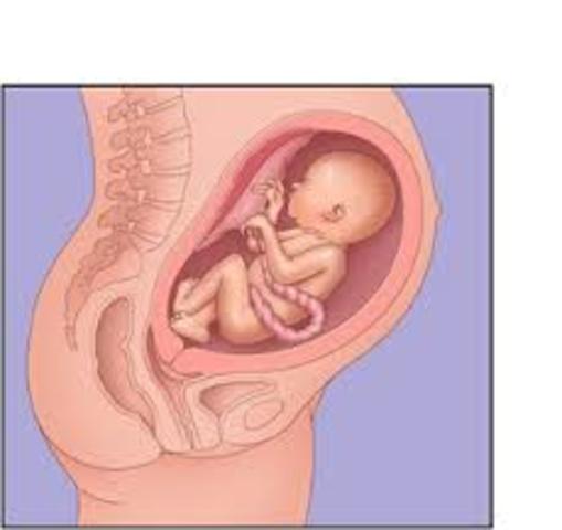 6 Meses, Carcaterísticas internas