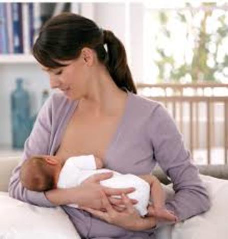 Importancia de la estapa lactante