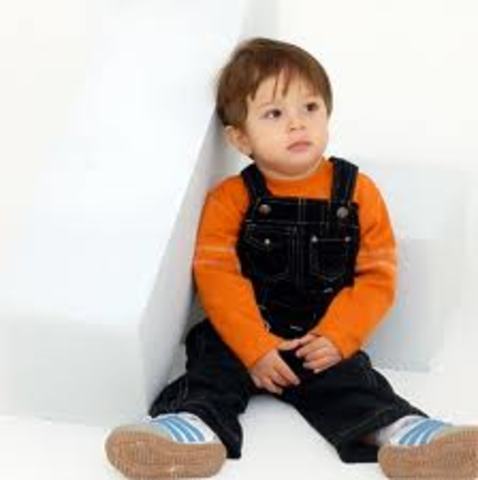 Desarrollo Psicosocial