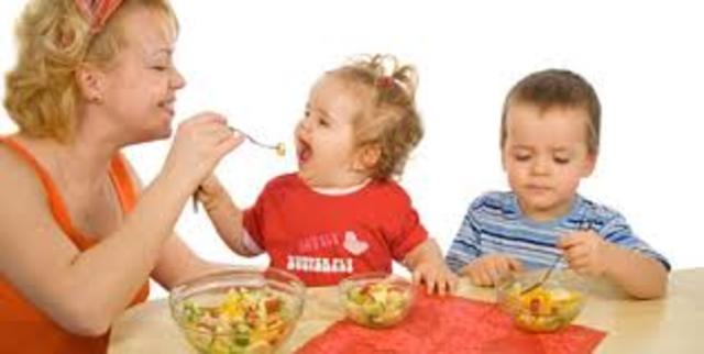 Desarrollo y formación de la cara