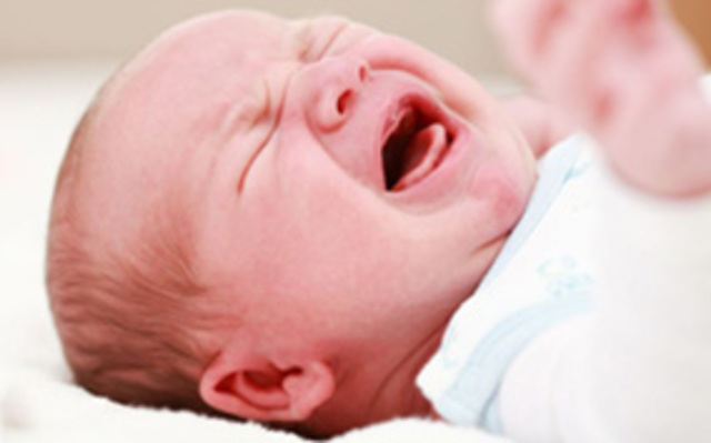 Primeras semanas de vida.