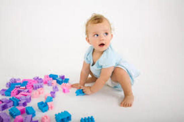 Primer año del lactante