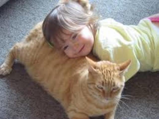 3 a 5 años (infancia temprana)