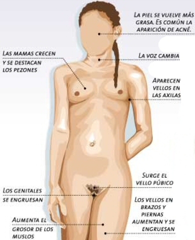 9 años y medio/ mujeres