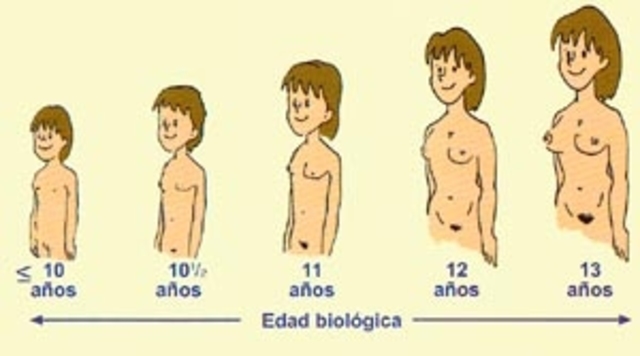 Pubertad mujeres