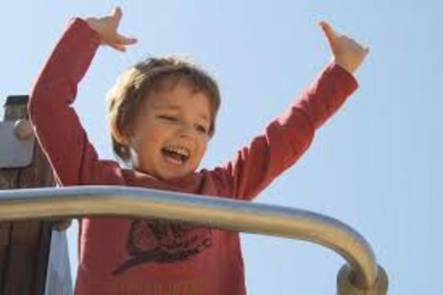 Desarrollo Cognitivo