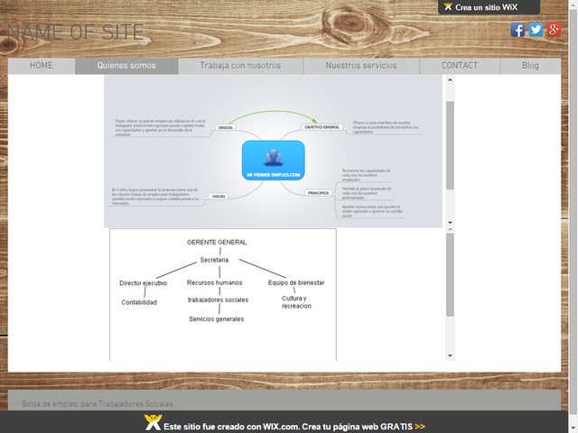 se empiezan a crear los objetivos, Principios, mision y vision de mi primer empleo.com