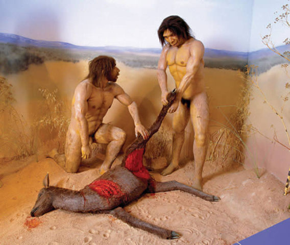 PRIME. POBLADORES(4000 a.C)