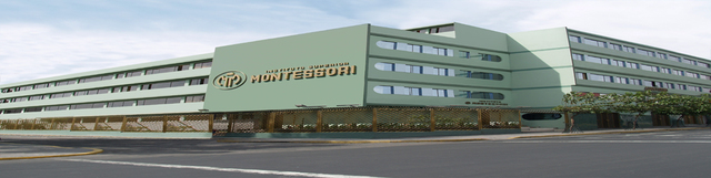 instituto montessori