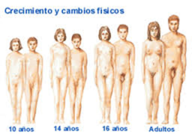 Desarrollo Sistema Reproductor