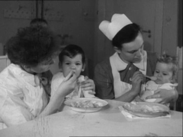 Producción de enzimas en glandulas salivales