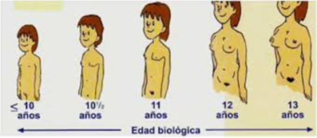 inicia la pubertad en una niña