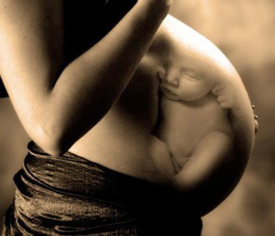 Embarazo