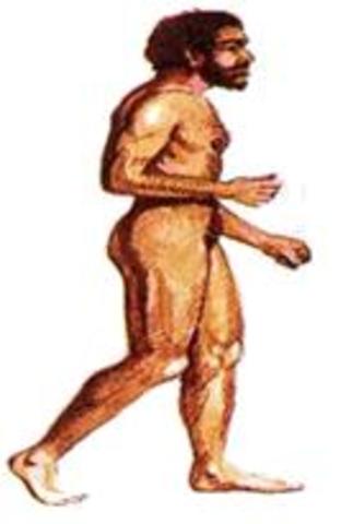 Homo sapiens neanderthalensis