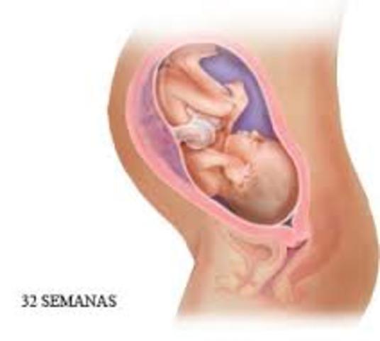 32 Semana