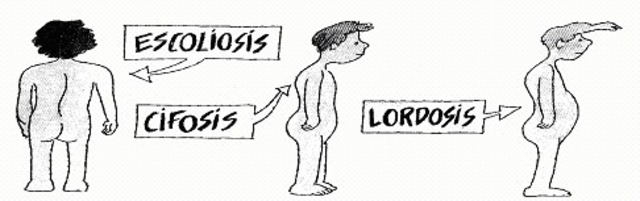 FINALES DEL SEGUNDO AÑO