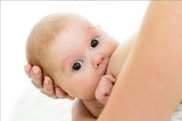 SISTEMA INMUNOLÓGICO