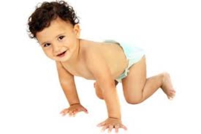 DESARROLLO ÓSEO Y MUSCULAR