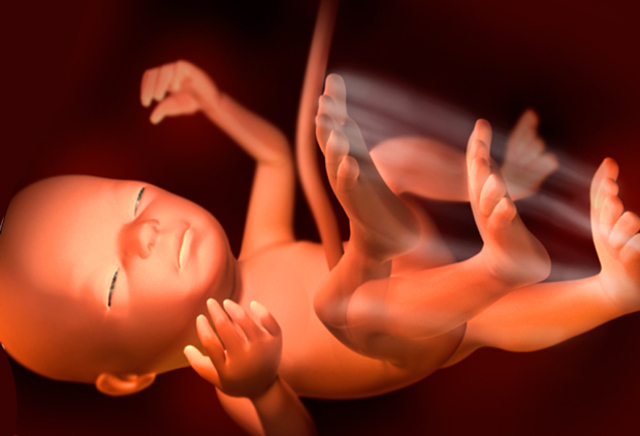 28º Semana, 7º Mes