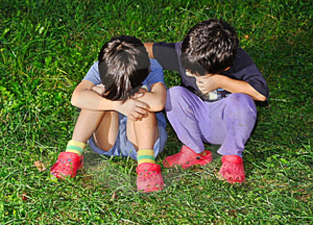 Desarrollo emocional