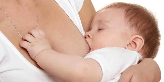 Sistema inmunológico.