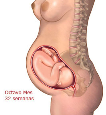 OCTAVO MES