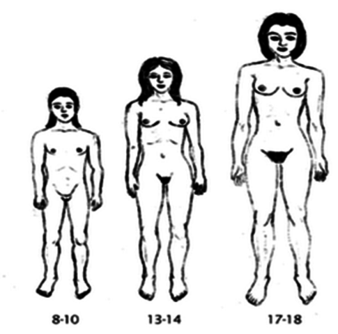 Caracteristicas sexuales secundarias