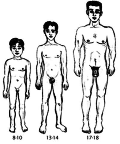 caracteristicas sexuales (niños)